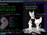 TWM Gentoo cabuloso !!!